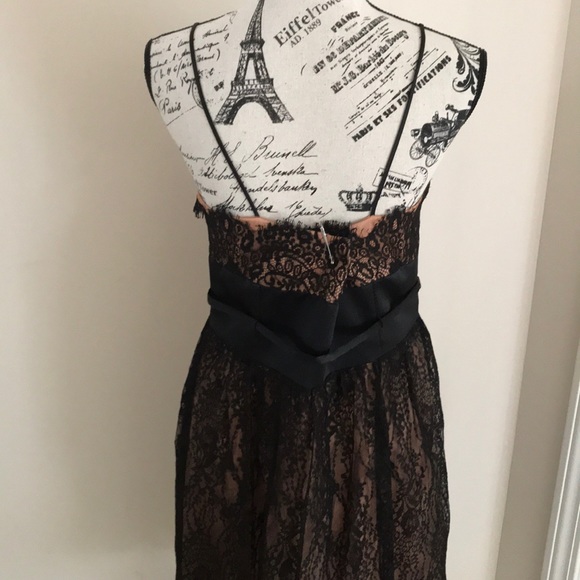 Laundry Dress - Picture 3 of 6